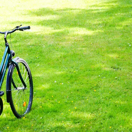 Pullman Schweizerhof